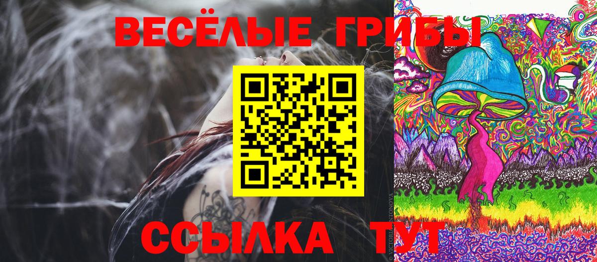 Галлюциногенные грибы Psilocybe  наркота  Вход с VPN  Муравленко  Галлюциногенные грибы мицелий 